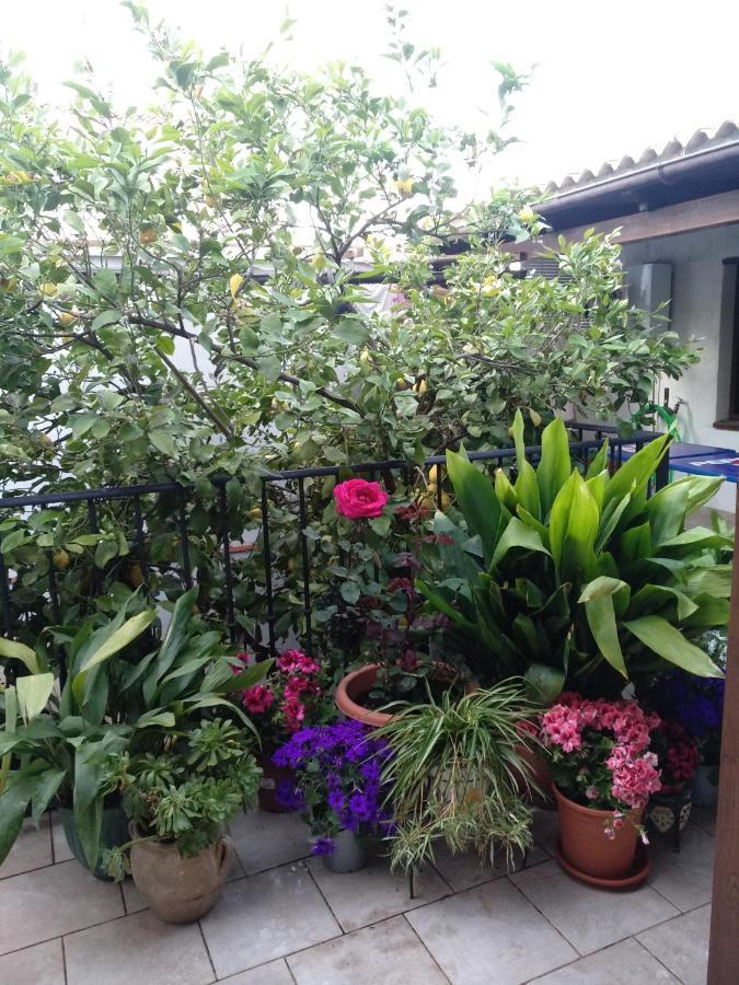 Bed and Breakfast El Patio Andalu Ardales Esterno foto