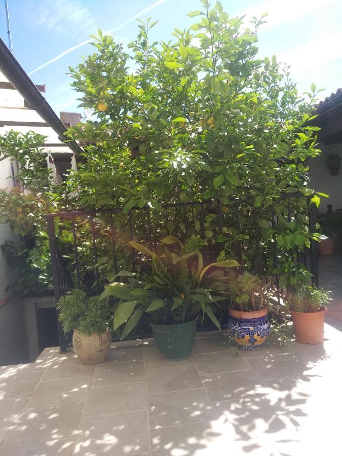 Bed and Breakfast El Patio Andalu Ardales Esterno foto