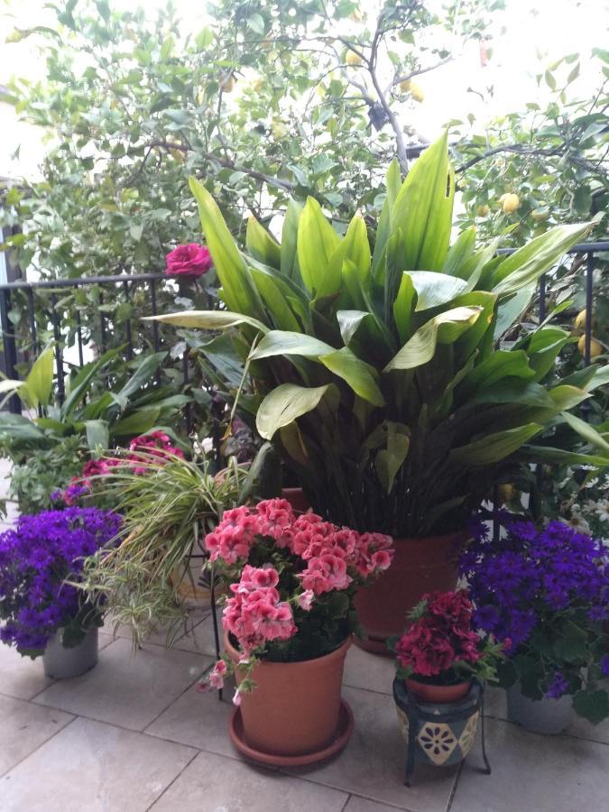 Bed and Breakfast El Patio Andalu Ardales Esterno foto